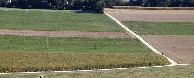 Vista panorâmica do campo