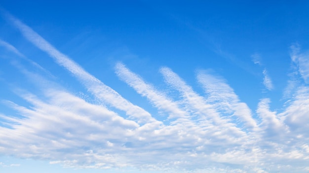 Vista panorâmica do céu azul com nuvens em forma de palmeira