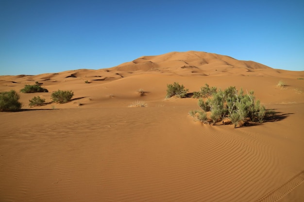 Vista panorâmica do deserto contra o céu nublado