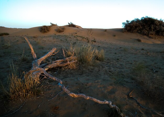 Vista panorâmica do deserto contra o céu