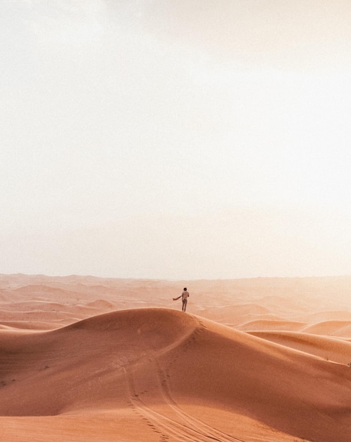 Vista panorâmica do deserto contra o céu