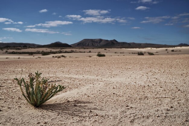 Foto vista panorâmica do deserto contra o céu