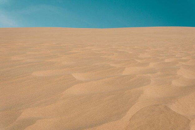 Vista panorâmica do deserto contra um céu limpo