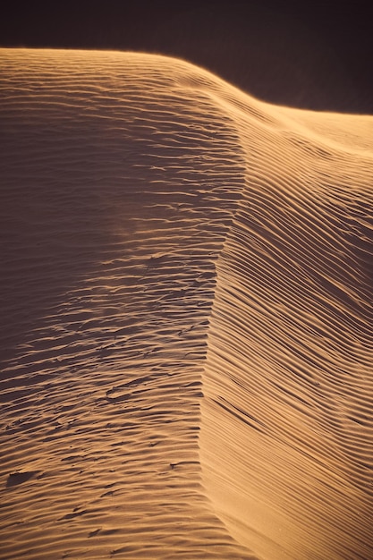 Foto vista panorâmica do deserto