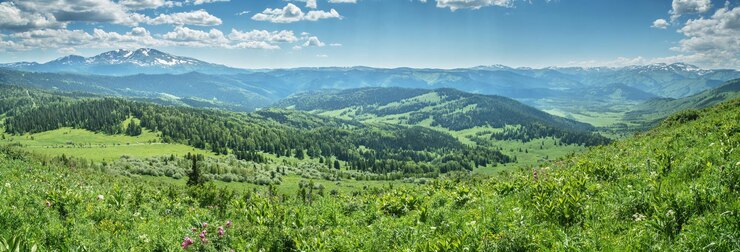 Foto vista panorâmica do dia ensolarado da vegetação do verão do vale da montanha