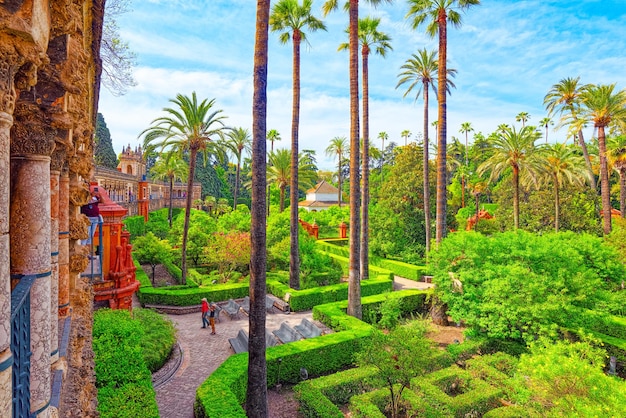 Vista panorâmica do grande e belo jardim - Jardins do Real Alcazar em Sevilha. Espanha.