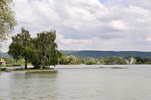 Vista panorâmica do Lago Balaton Vista das grandes árvores do lago e belas nuvens