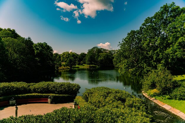 Foto vista panorâmica do lago com árvores refletidas contra o céu