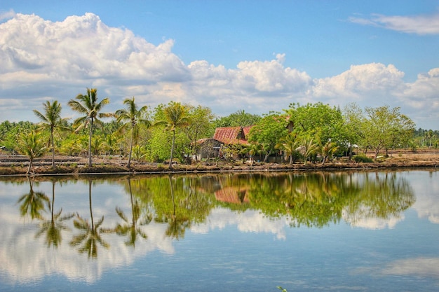 Vista panorâmica do lago com árvores refletidas contra o céu
