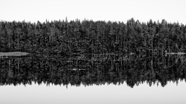 Foto vista panorâmica do lago contra o céu claro