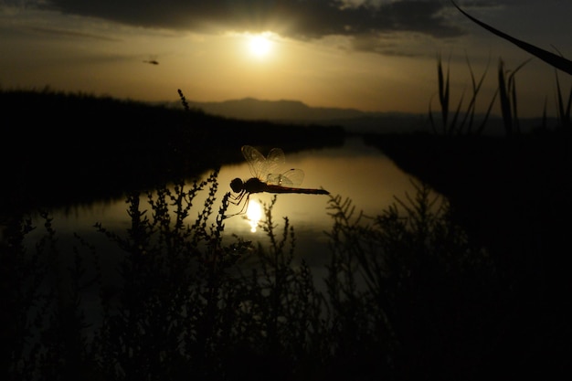 Foto vista panorâmica do lago contra o céu durante o pôr-do-sol