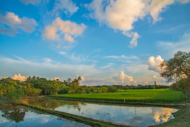 Vista panorâmica do lago contra o céu