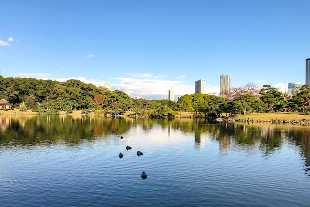 Vista panorâmica do lago contra o céu