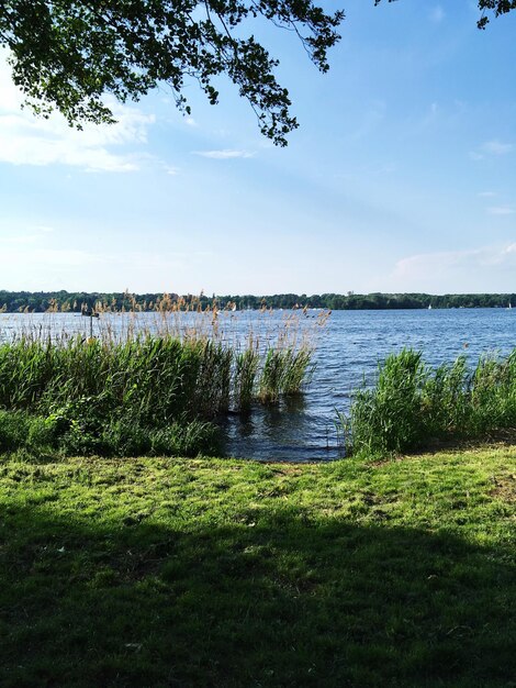 Vista panorâmica do lago contra o céu