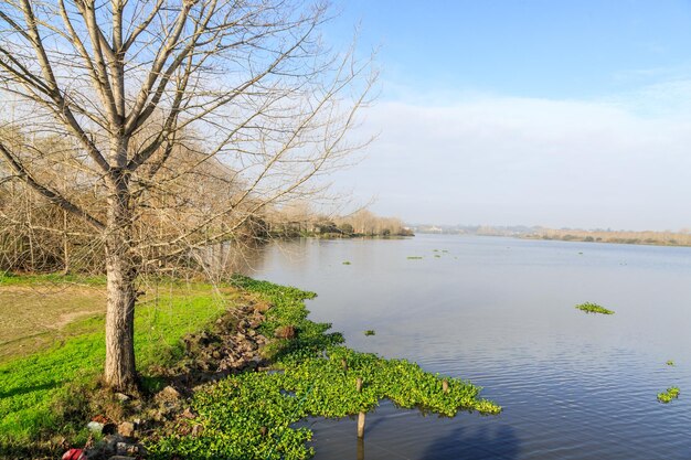 Foto vista panorâmica do lago contra o céu