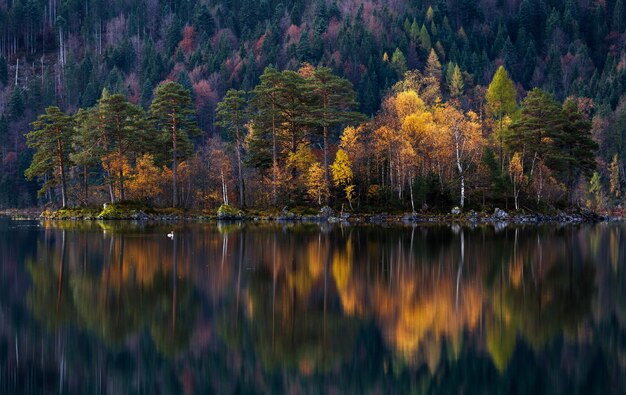 Vista panorâmica do lago e das árvores no outono