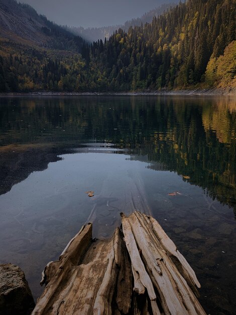 Vista panorâmica do lago malaya ritsa na floresta