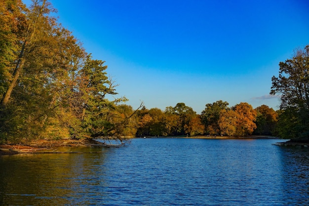 Foto vista panorâmica do lago na floresta contra o céu azul