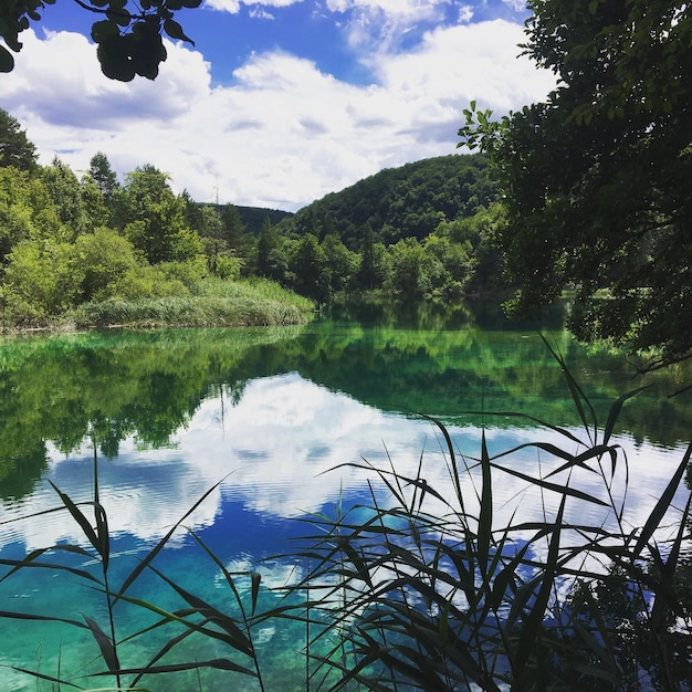 Foto vista panorâmica do lago na floresta contra o céu