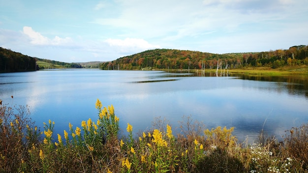 Foto vista panorâmica do lago na floresta contra o céu