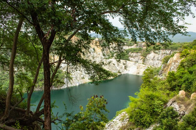 Foto vista panorâmica do lago no meio das árvores na floresta