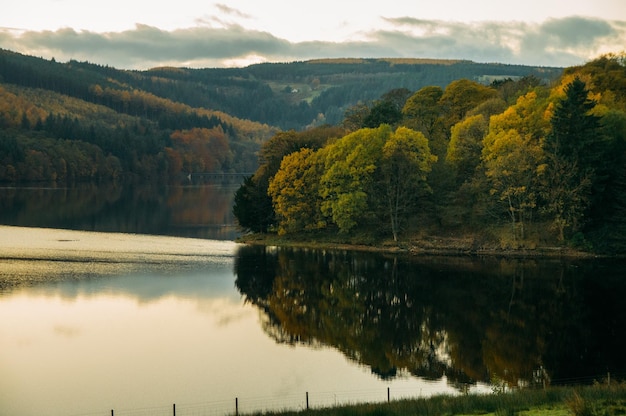 Vista panorâmica do lago pelas árvores contra o céu