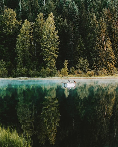 Vista panorâmica do lago pelas árvores contra o céu
