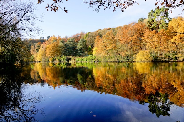 Vista panorâmica do lago por árvores contra o céu durante o outono