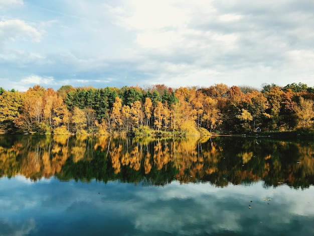 Vista panorâmica do lago por árvores contra o céu nublado