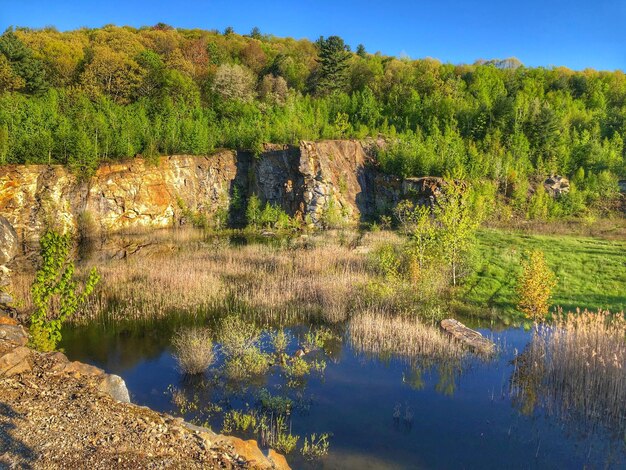 Vista panorâmica do lago por árvores contra o céu