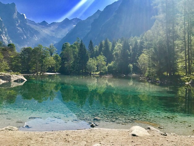 Foto vista panorâmica do lago por árvores contra o céu