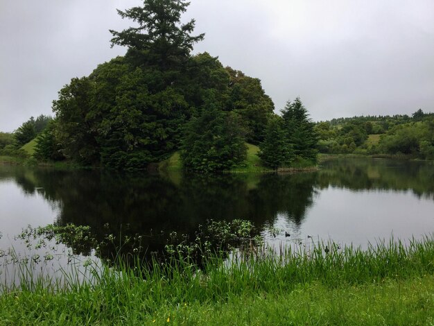 Vista panorâmica do lago por árvores contra o céu