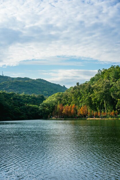 Foto vista panorâmica do lago por árvores contra o céu