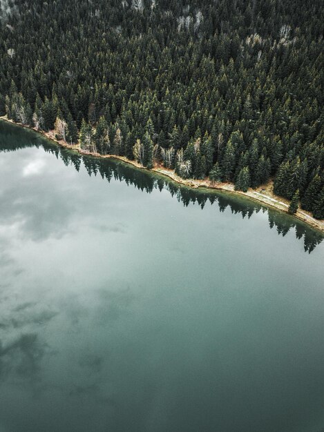 Foto vista panorâmica do lago por árvores na floresta