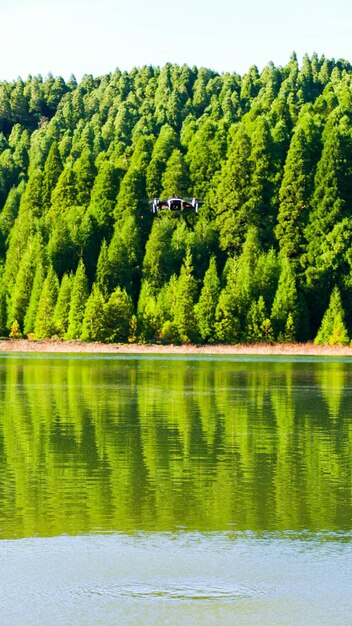 Foto vista panorâmica do lago por árvores na floresta