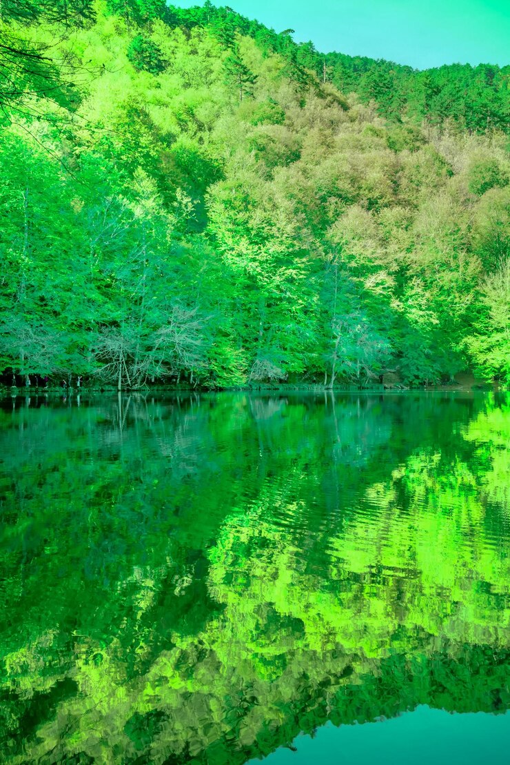 Foto vista panorâmica do lago por árvores