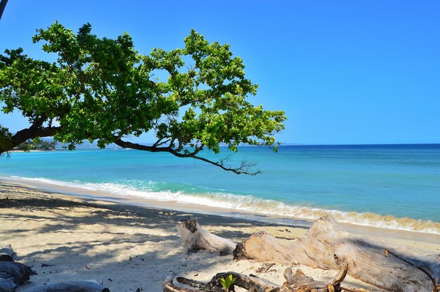 Foto vista panorâmica do mar contra o céu azul claro