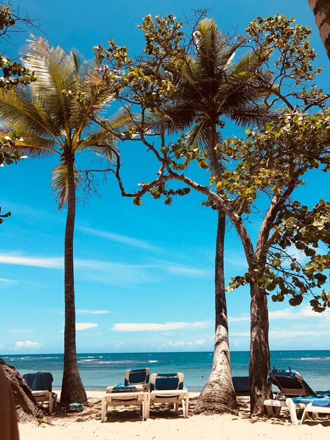 Foto vista panorâmica do mar contra o céu