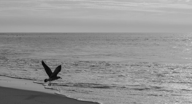 Vista panorâmica do mar contra o céu