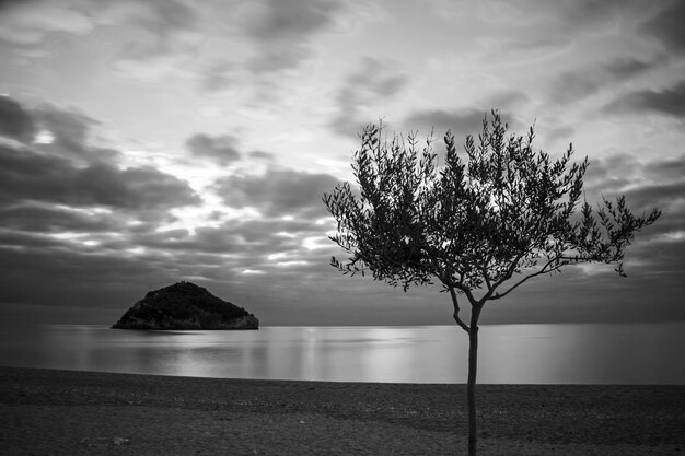 Foto vista panorâmica do mar contra o céu