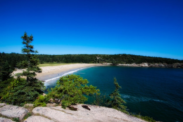 Vista panorâmica do mar e da floresta contra o céu azul claro
