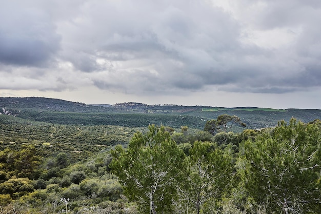 Vista panorâmica do Monte Carmelo em Haifa com coníferas e árvores caducifólias e nuvens de tempestade