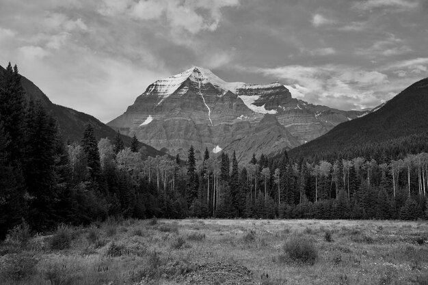 Foto vista panorâmica do monte robson contra o céu