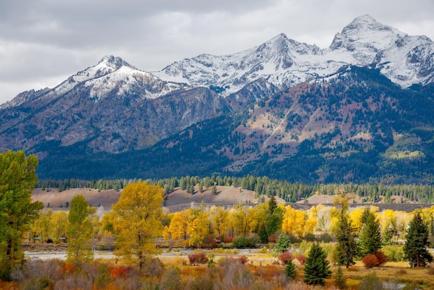 Vista panorâmica do Parque Nacional Grand Teton