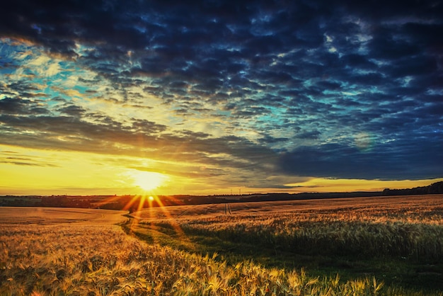 Vista panorâmica do pôr-do-sol sobre o campo contra o céu dramático