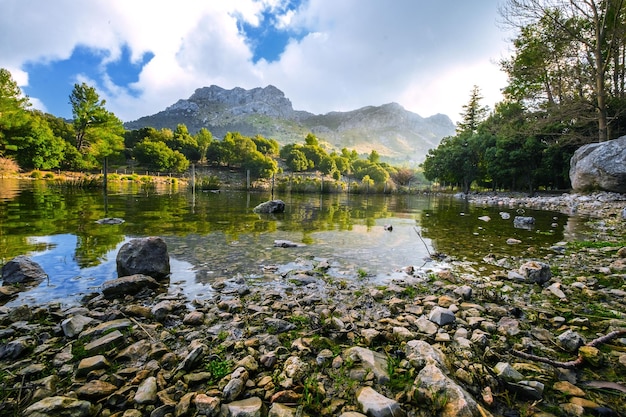 Vista panorâmica do reservatório de gorg blau por árvores contra o céu