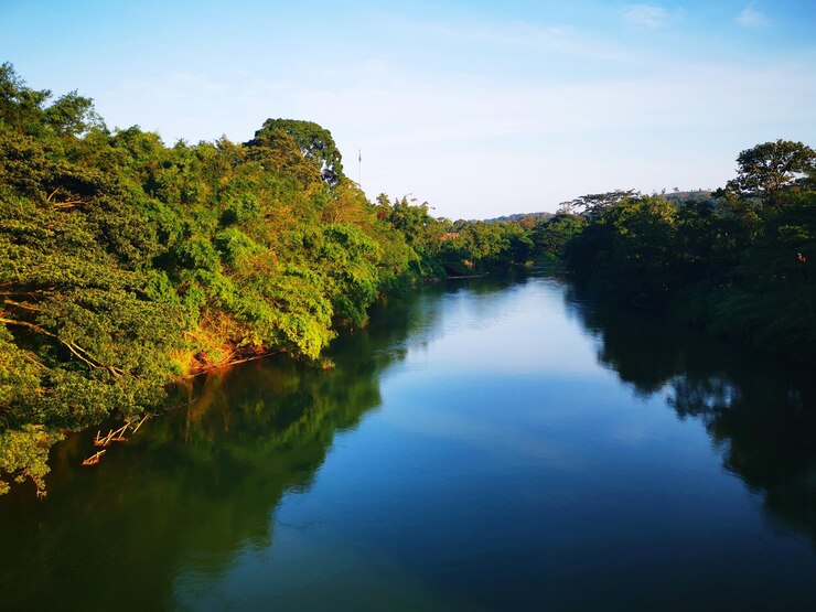 Foto vista panorâmica do rio em meio às árvores contra o céu