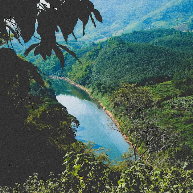 Foto vista panorâmica do rio no meio das árvores na floresta