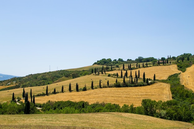 Vista panorâmica do verão das colinas da Toscana paisagem italiana