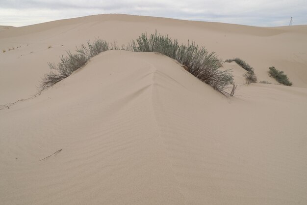 Foto vista panorámica de una duna de arena en el desierto contra el cielo